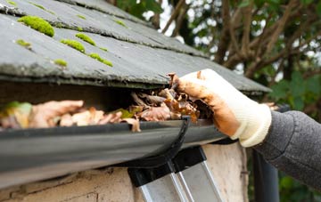 gutter cleaning Holmbush
