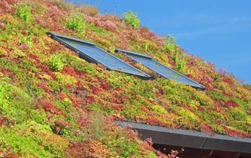 Holmbush living roof systems